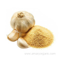 Organic granulated garlic dehydrated garlic granules